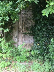 IMG_0240